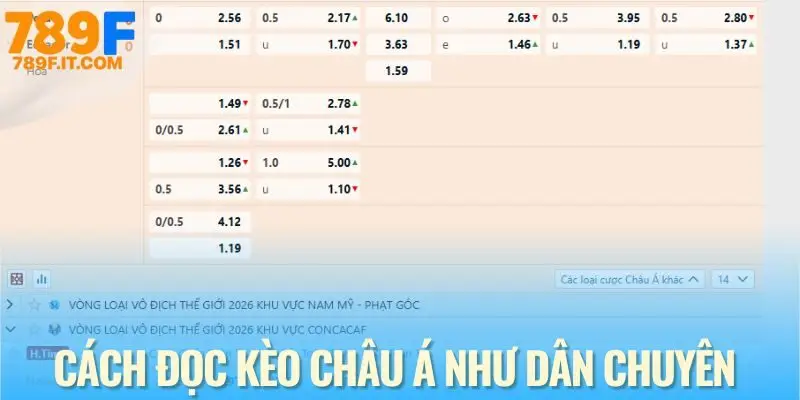Cách đọc kèo Châu Á chi tiết như chuyên gia cá độ